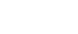 Logo Preciso